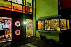 VUIF0263